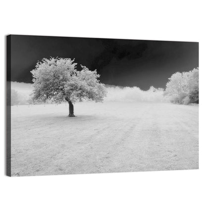 Lonely Tree In Surreal Winter Field Wall Art