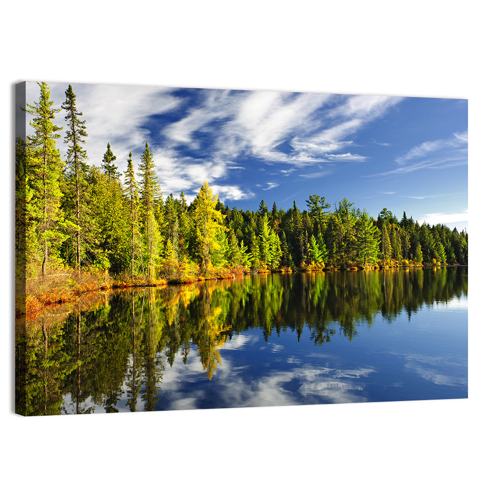 Lake Shore at Algonquin Park Wall Art