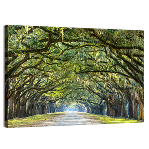 Savannah Oak Tree Pathway Wall Art