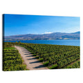 Lake Okanagan Vineyard Path Wall Art