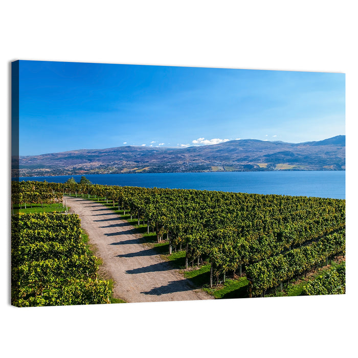 Lake Okanagan Vineyard Path Wall Art as a canvas print