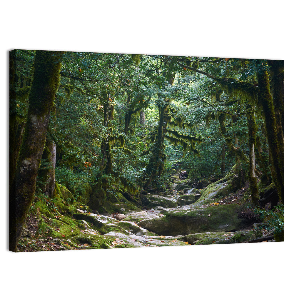 Mossy Halloween Forest Path Wall Art, canvas print, landscape