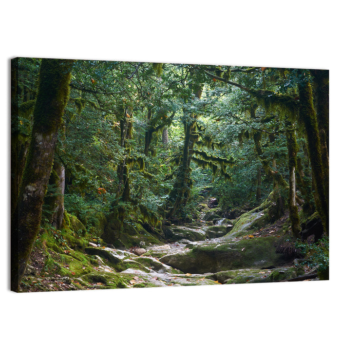 Mossy Halloween Forest Path Wall Art as a canvas print