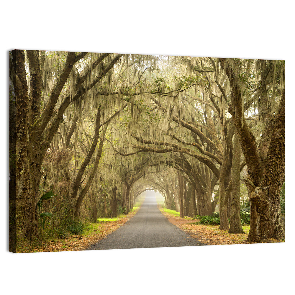Spanish Moss Country Road Wall Art