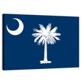 South Carolina Flag Graphic Wall Art