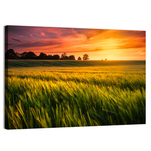 Sunset Over a Wheat Field Wall Art