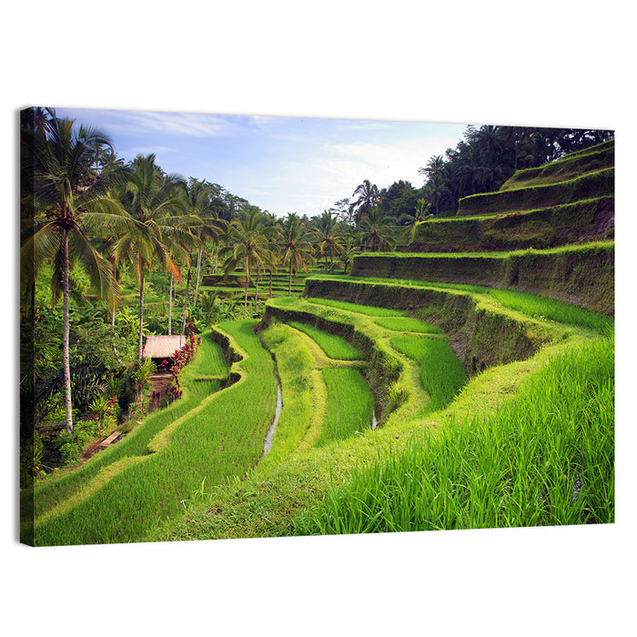 Tegallalang Rice Terraces Wall Art as a canvas print