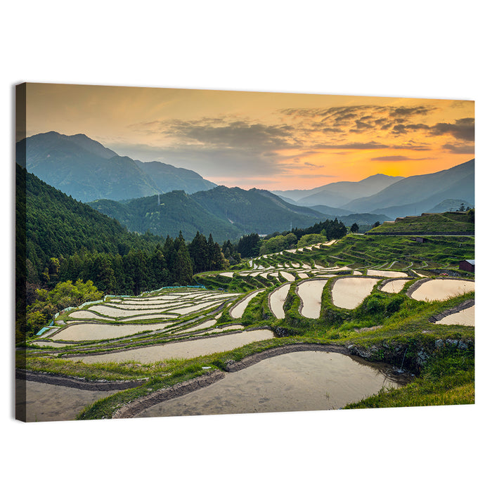 Sunset Over Japanese Rice Terraces Wall Art as a canvas print