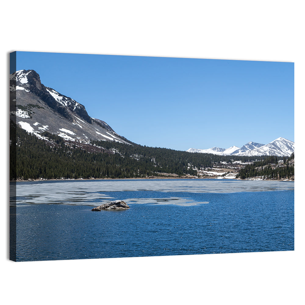 Yosemite Frozen Lake Scene Wall Art