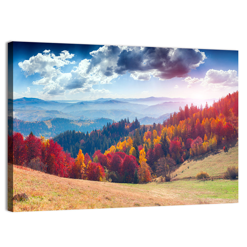 Carpathian Autumn Sunburst Ukraine Wall Art