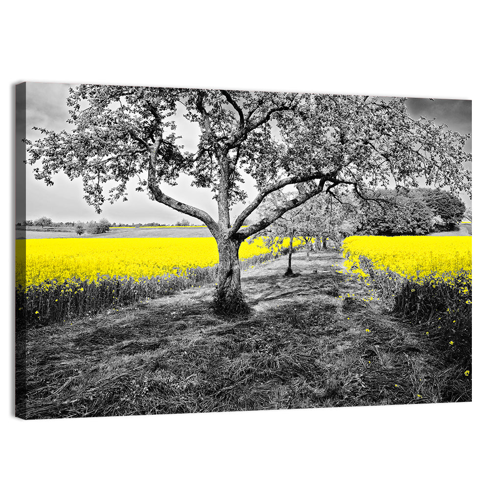 Yellow Oilseed Field with Lone Tree Wall Art, canvas print, landscape