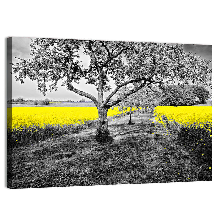 Yellow Oilseed Field with Lone Tree Wall Art as a canvas print