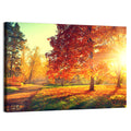 Sunlit Autumn Forest Path Wall Art