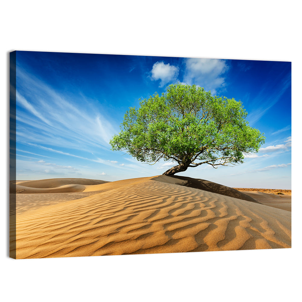 Solitary Green Tree on Sand Dune Wall Art