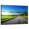 Curved Asphalt Road Through Forest Wall Art