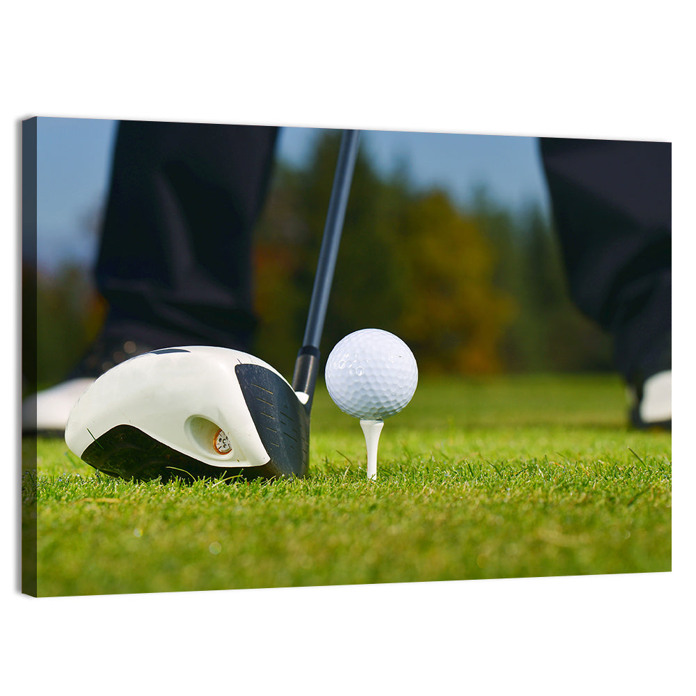Golf Ball and Club Close Up Wall Art