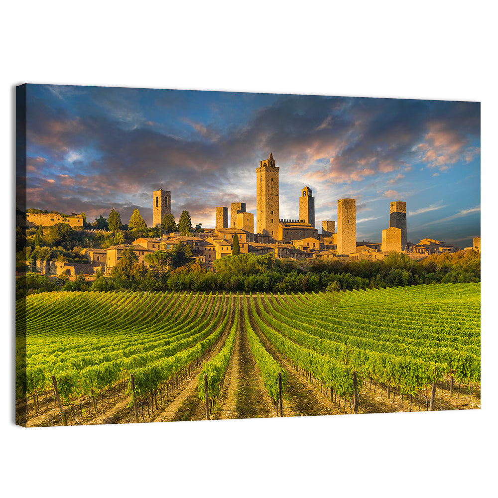 Vineyards of San Gimignano Wall Art, canvas print, landscape