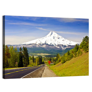 Mt Hood from a Road Wall Art