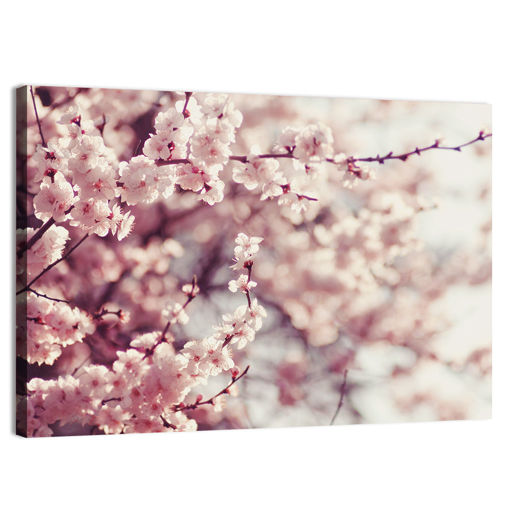 Pink Cherry Blossom Close-up Wall Art, canvas print, landscape
