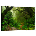 Misty Forest Trail in Nepal Wall Art