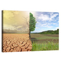 Split Landscape with Half-alive Tree Wall Art