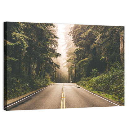 Redwood Highway In Northern California Wall Art