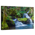 Hawaiian Rainforest Waterfalls Wall Art
