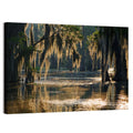 Spanish Moss in Louisiana Bayou Wall Art