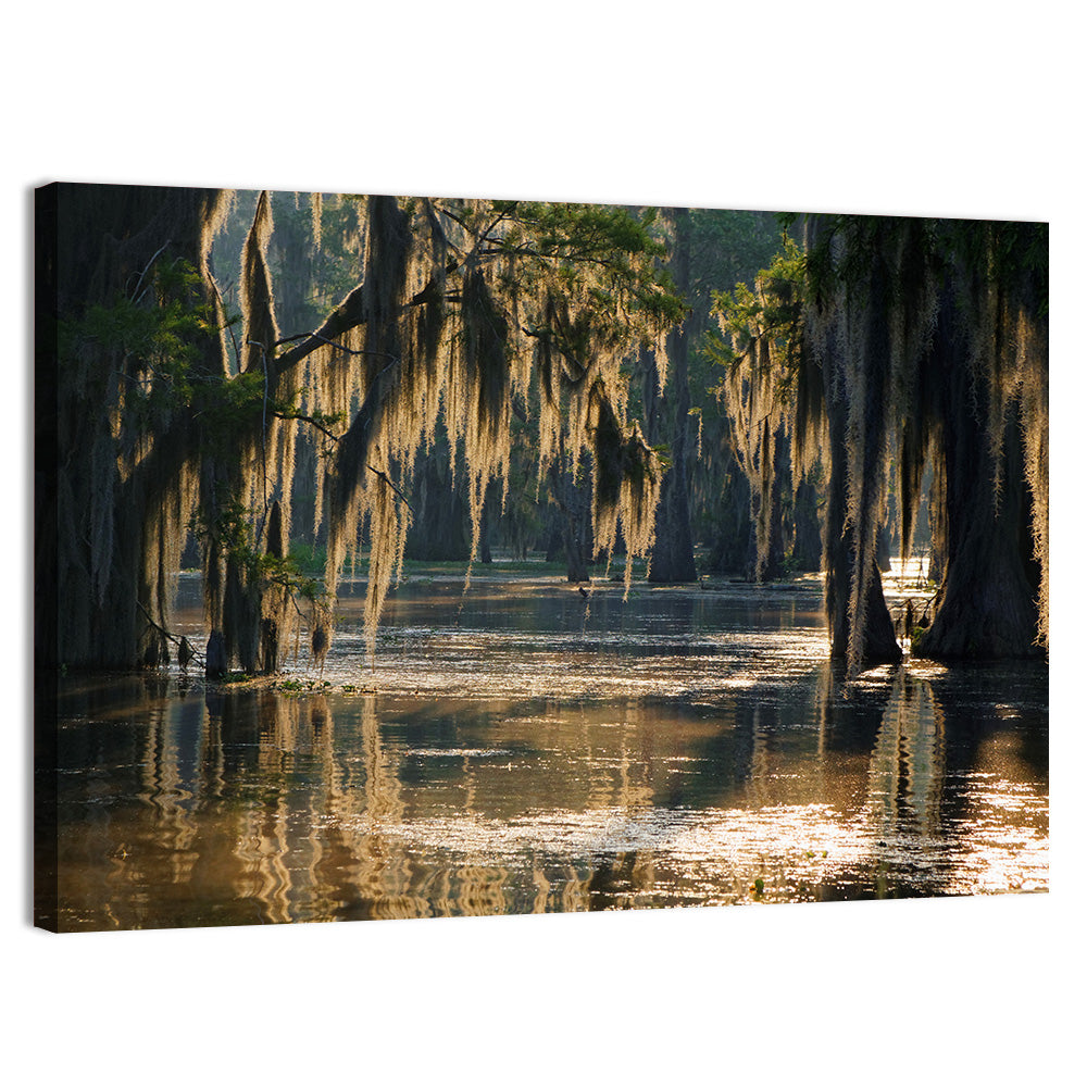 Spanish Moss in Louisiana Bayou Wall Art, canvas print, landscape