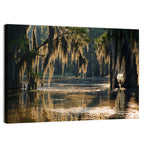 Spanish Moss in Louisiana Bayou Wall Art