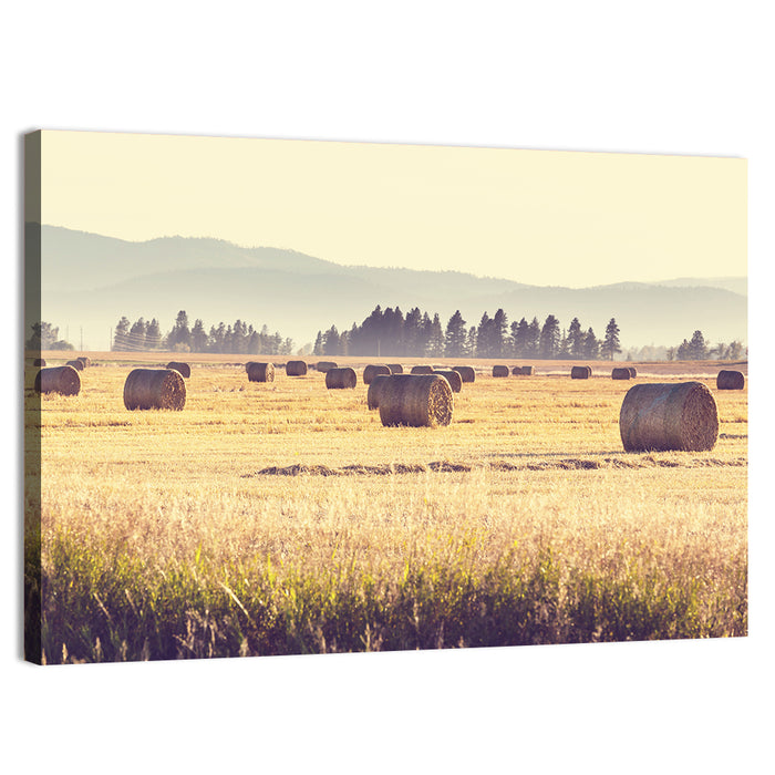 Golden Hay Bales Field Wall Art as a canvas print