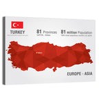 Turkey Map Infographic Wall Art
