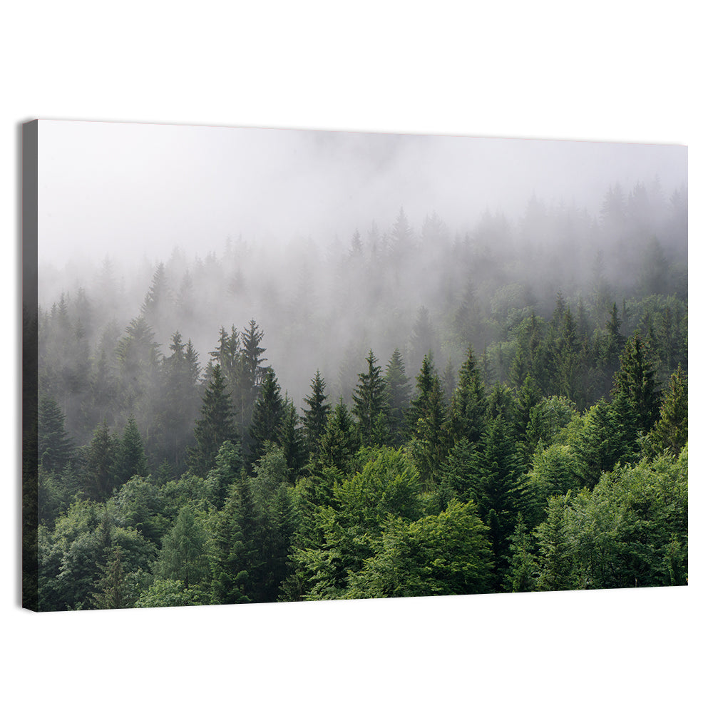 Misty Evergreen Forest Overview Wall Art, canvas print, landscape