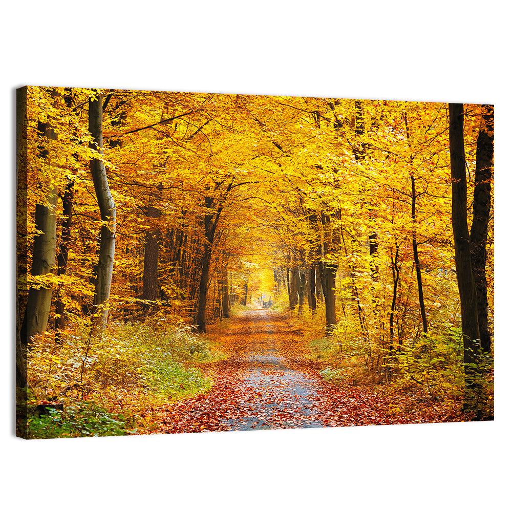 Autumn Forest Path Wall Art