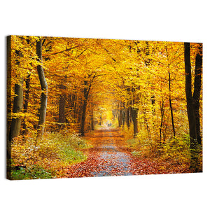 Road In Autumn Forest Wall Art