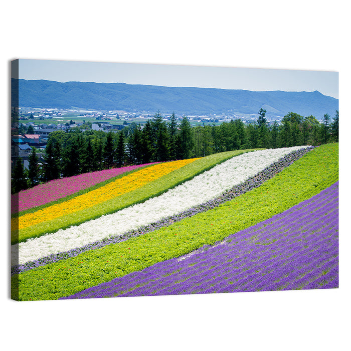 Farm Tomita Lavender Fields Wall Art as a canvas print