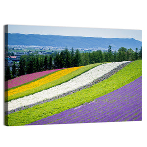 Lavender Garden In Fulano Hokkaido Wall Art