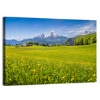 Watzmann Mountain Meadow Wall Art