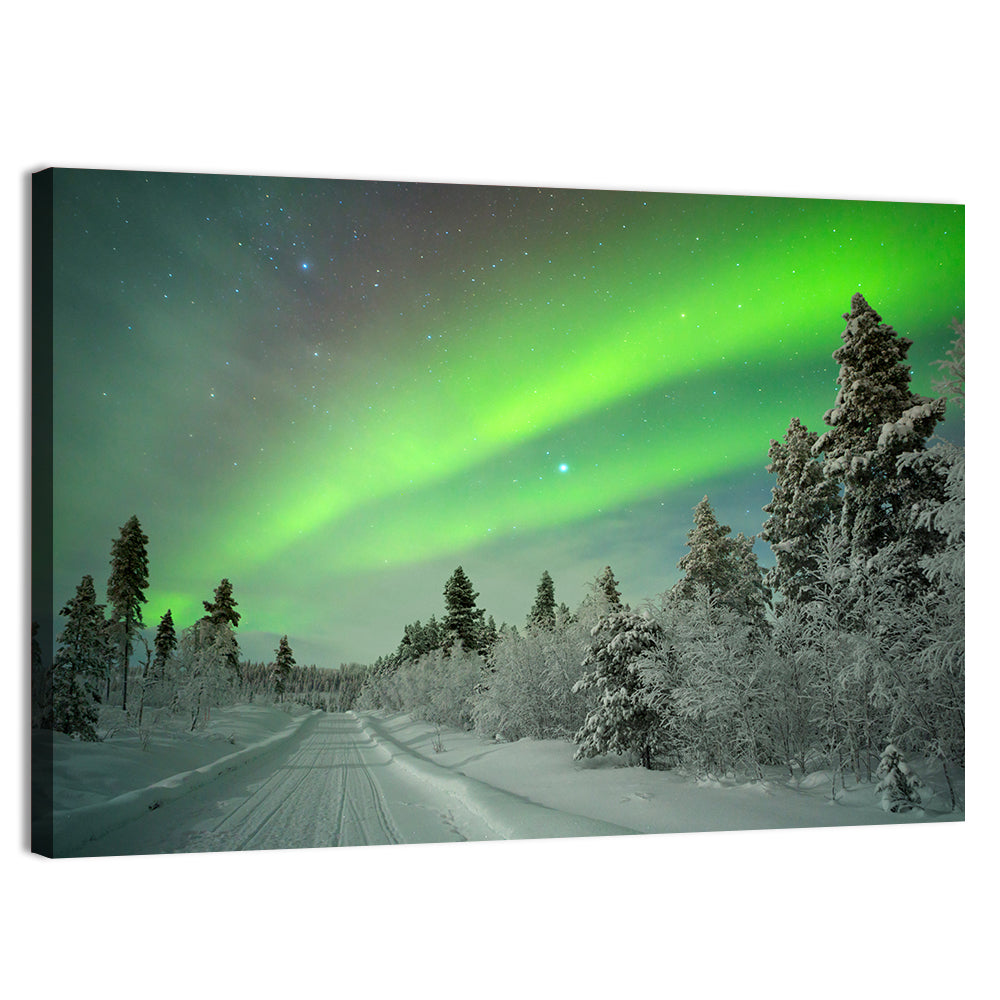 Aurora Over Snowy Forest Road Wall Art, canvas print, landscape