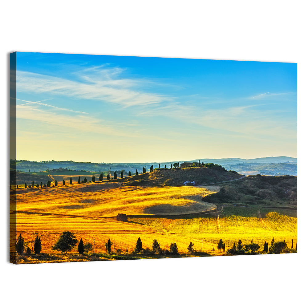 Cypress Trees Over Golden Fields Wall Art, canvas print, landscape
