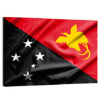 Papua New Guinea Flag Graphic Wall Art