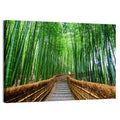 Stone Steps in Kyoto Bamboo Forest Wall Art