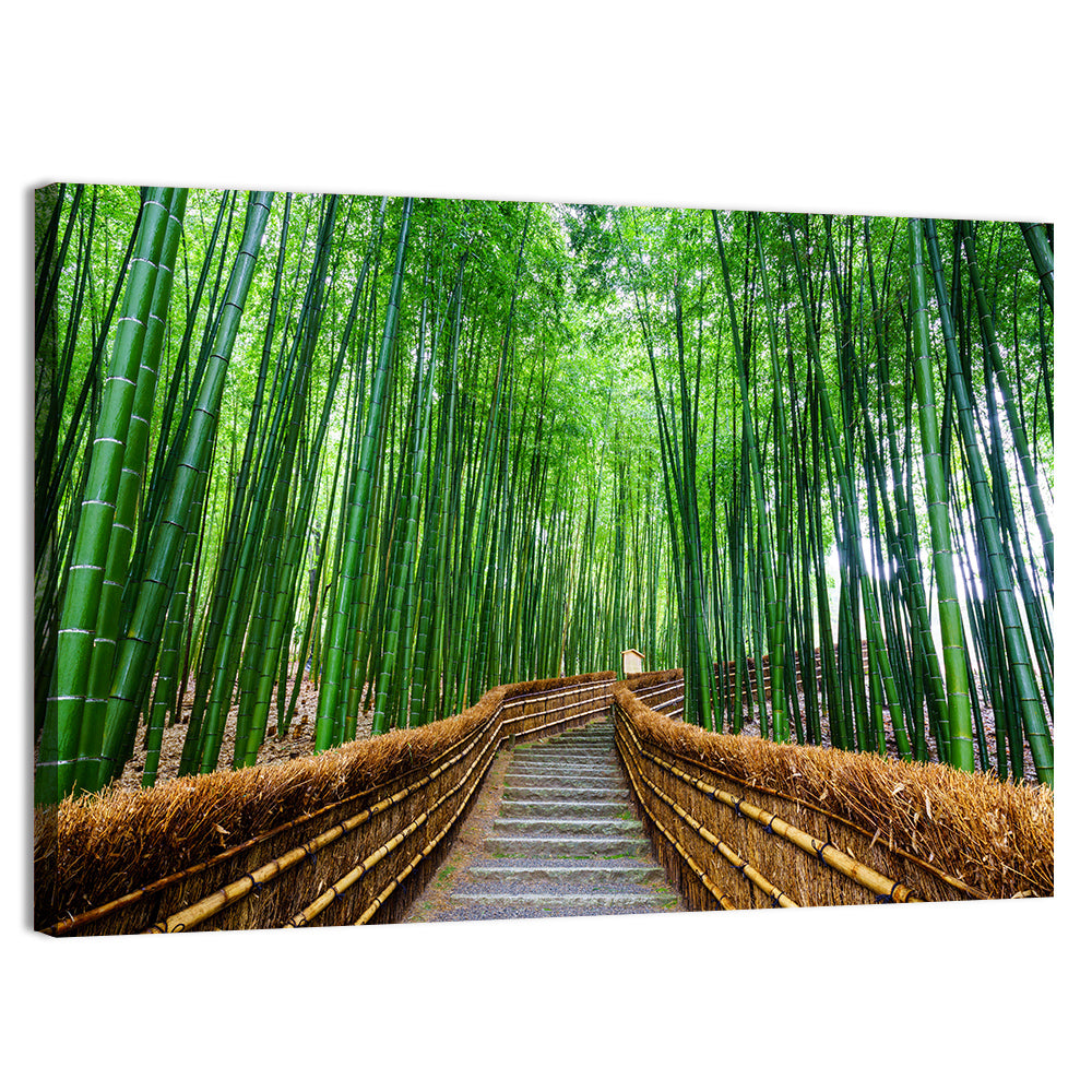 Stone Steps in Kyoto Bamboo Forest Wall Art, canvas print, landscape