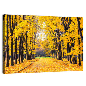 Alley In Bright Autumn Park Wall Art