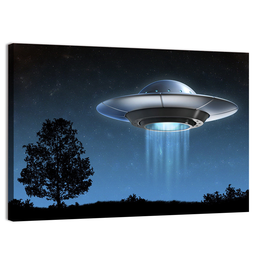 Ufo Over Silhouetted Grassland Wall Art