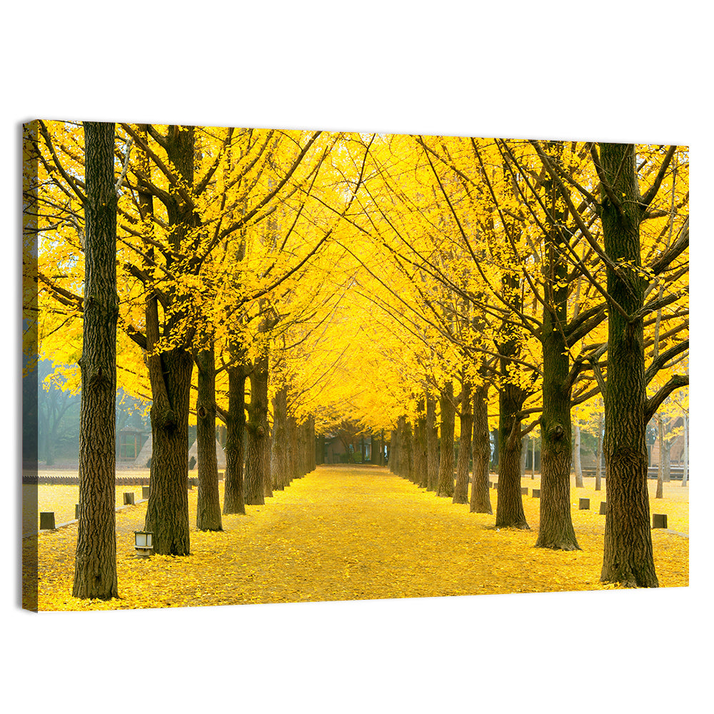 Nami Island Ginkgo Tree Tunnel Wall Art, canvas print, landscape
