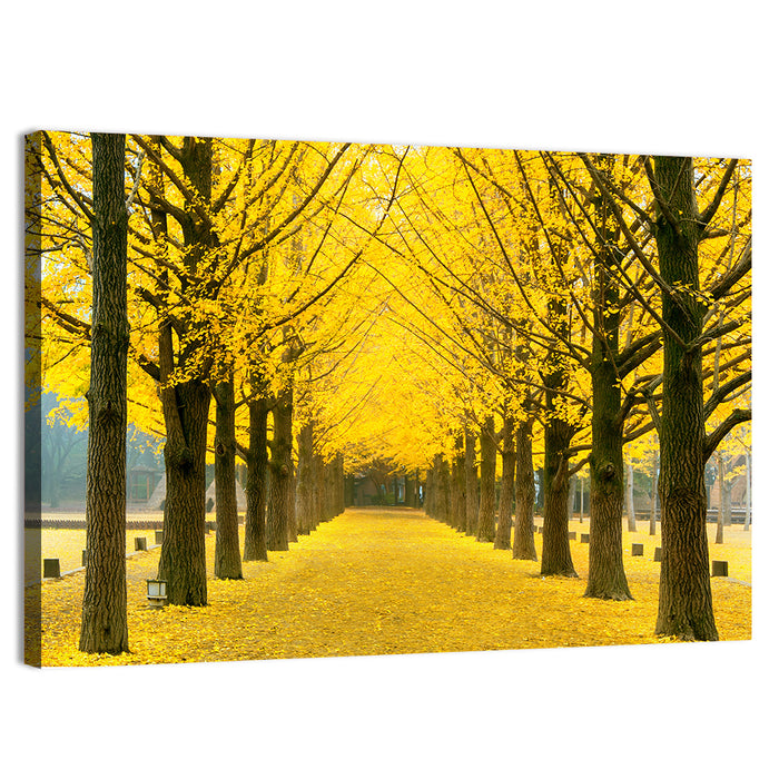 Nami Island Ginkgo Tree Tunnel Wall Art as a canvas print