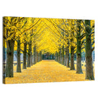 Row of Yellow Ginkgo Trees Wall Art