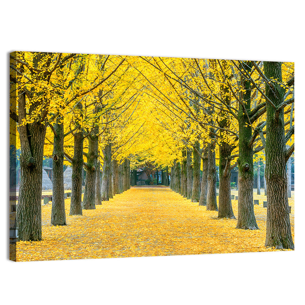 Row of Yellow Ginkgo Trees Wall Art