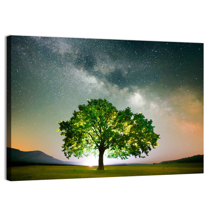 Lone Tree Under Milky Way Wall Art as a canvas print
